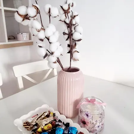 Stan Na Dan Kalina * Lukavica